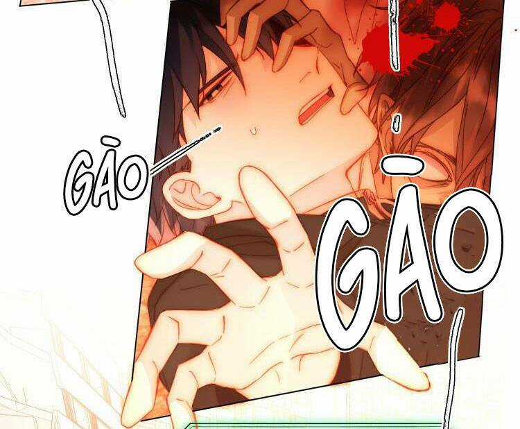 Tôi Phải Làm Một Kẻ Đại Xấu Xa Chapter 49 trang 18