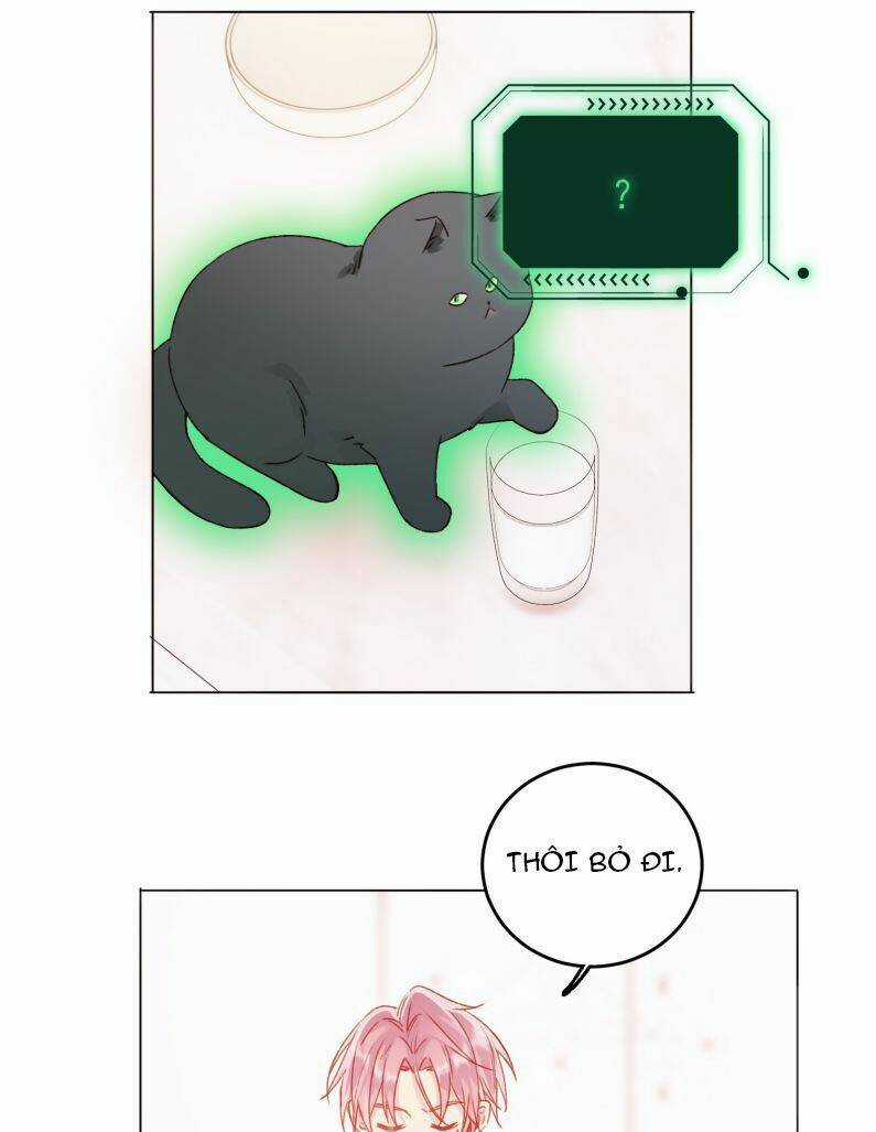 Tôi Phải Làm Một Kẻ Đại Xấu Xa Chapter 50 trang 12