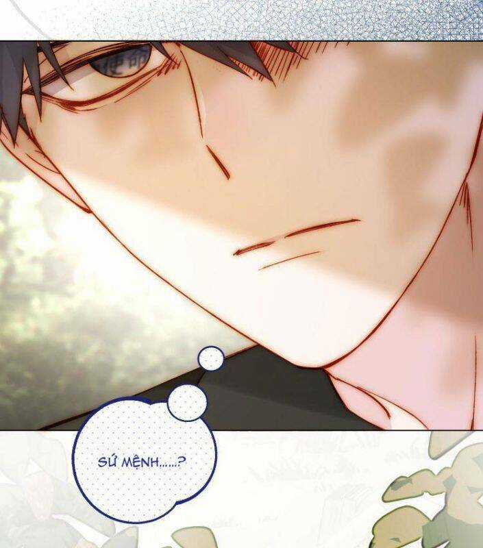 Tôi Phải Làm Một Kẻ Đại Xấu Xa Chapter 53 trang 19