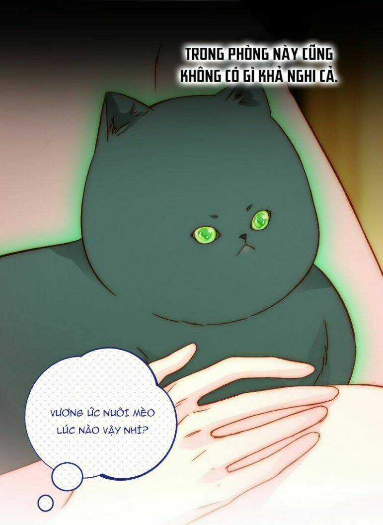 Tôi Phải Làm Một Kẻ Đại Xấu Xa Chapter 56 trang 37