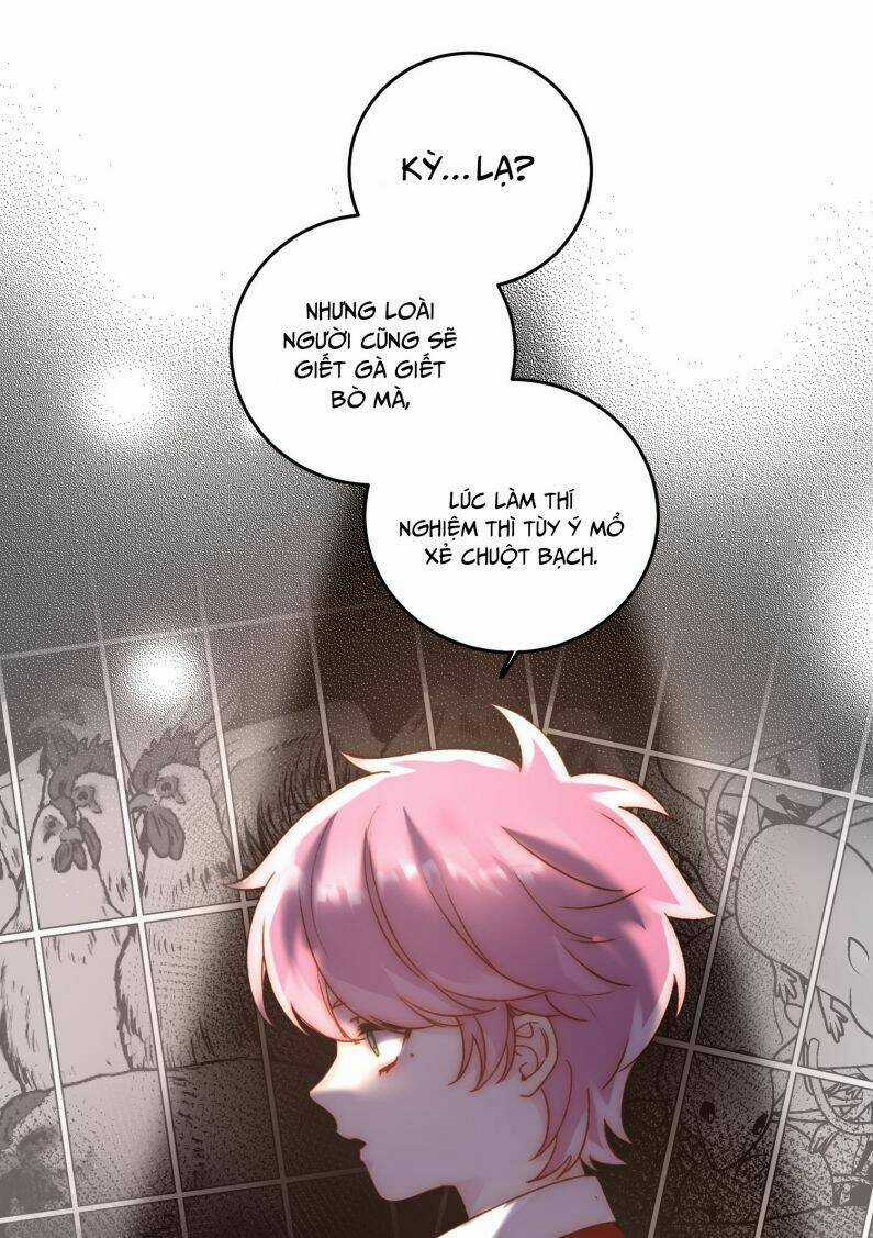 Tôi Phải Làm Một Kẻ Đại Xấu Xa Chapter 61 trang 29