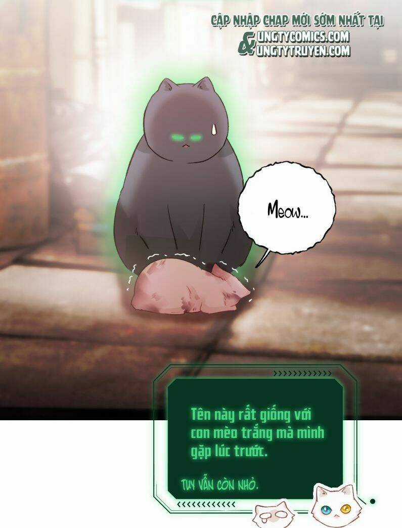 Tôi Phải Làm Một Kẻ Đại Xấu Xa Chapter 65 trang 3