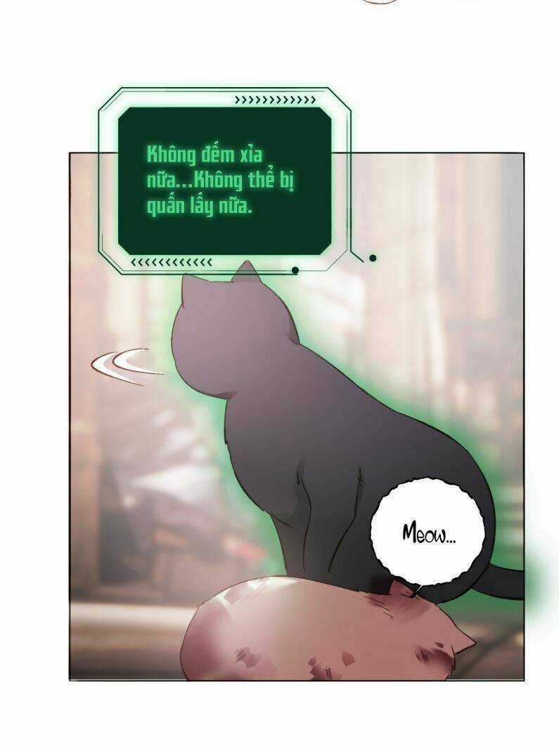 Tôi Phải Làm Một Kẻ Đại Xấu Xa Chapter 65 trang 4