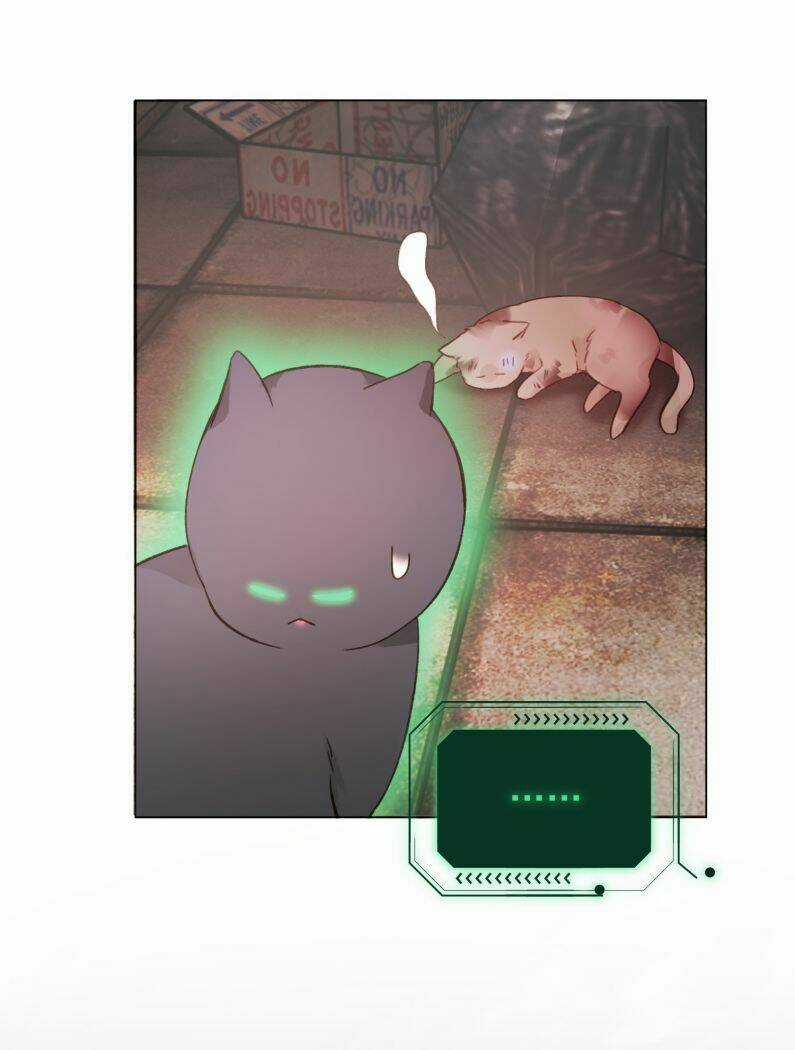 Tôi Phải Làm Một Kẻ Đại Xấu Xa Chapter 65 trang 5