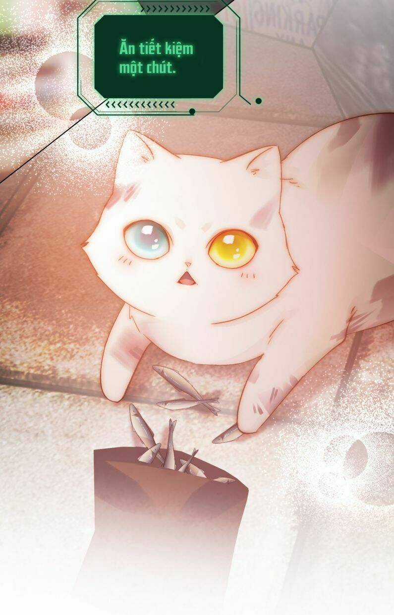 Tôi Phải Làm Một Kẻ Đại Xấu Xa Chapter 65 trang 8