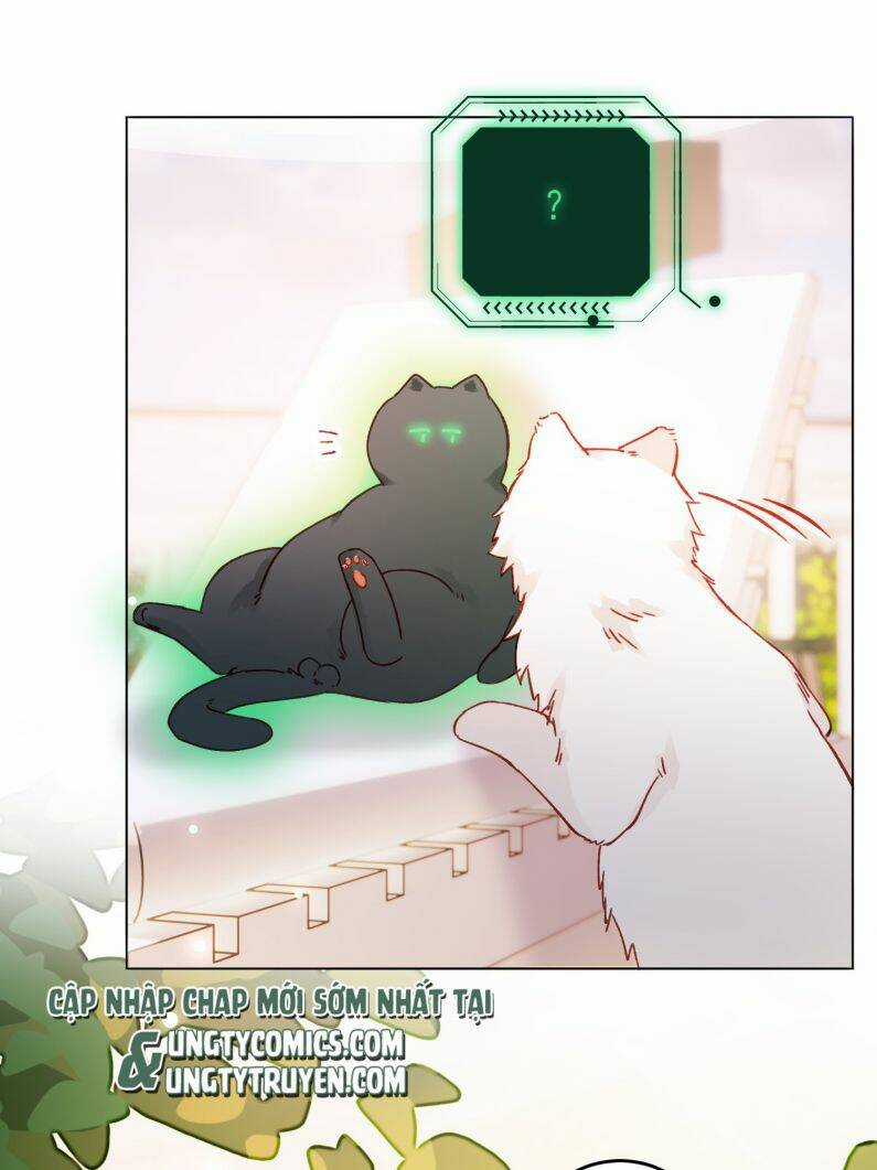 Tôi Phải Làm Một Kẻ Đại Xấu Xa Chapter 69 trang 24