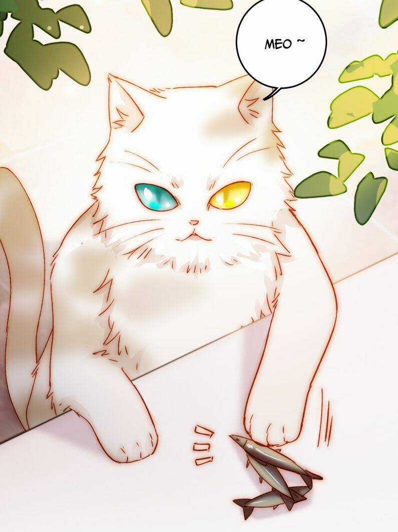 Tôi Phải Làm Một Kẻ Đại Xấu Xa Chapter 69 trang 25