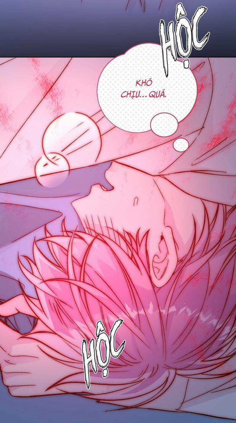 Tôi Phải Làm Một Kẻ Đại Xấu Xa Chapter 71 trang 21