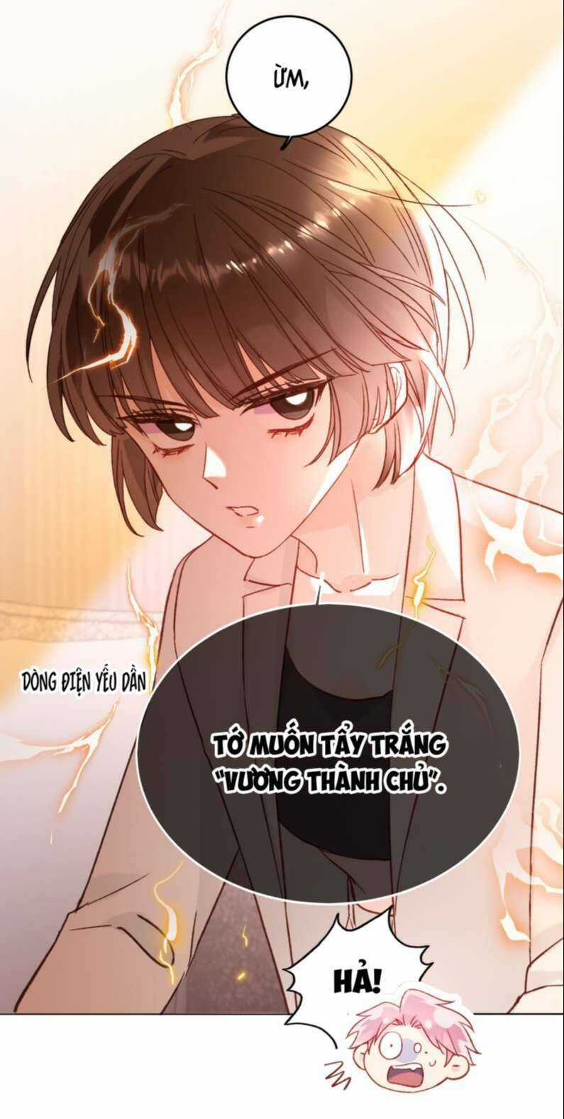 Tôi Phải Làm Một Kẻ Đại Xấu Xa Chapter 76 trang 29