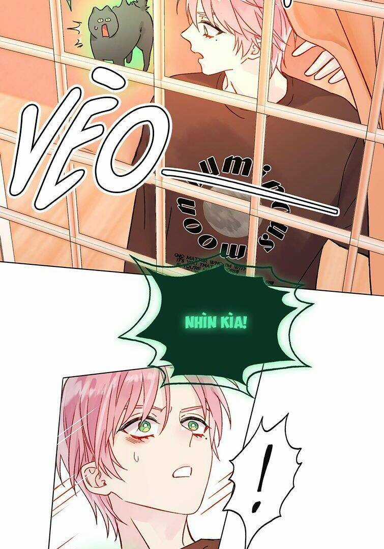 Tôi Phải Làm Một Kẻ Đại Xấu Xa Chapter 87 trang 49