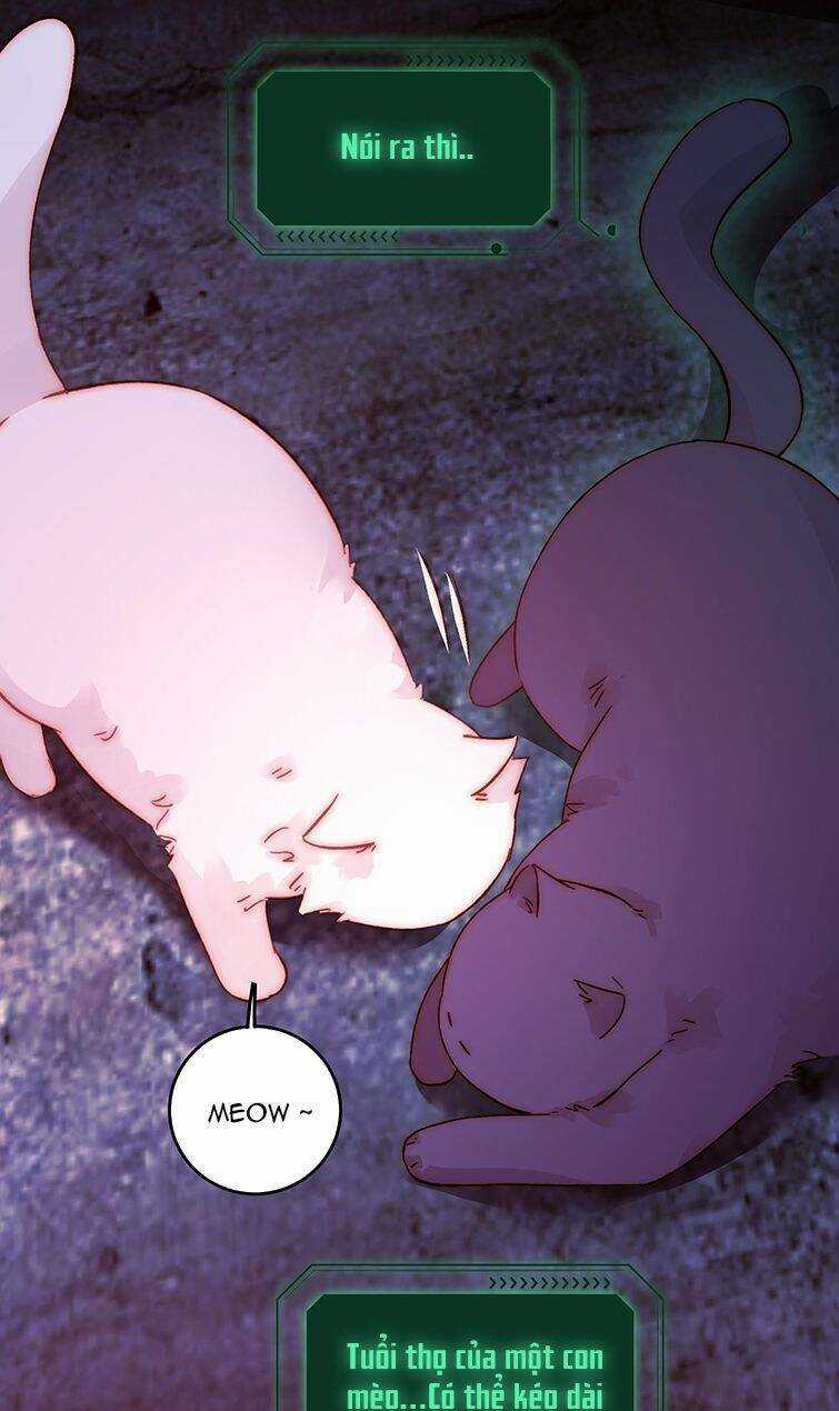 Tôi Phải Làm Một Kẻ Đại Xấu Xa Chapter 90 trang 31