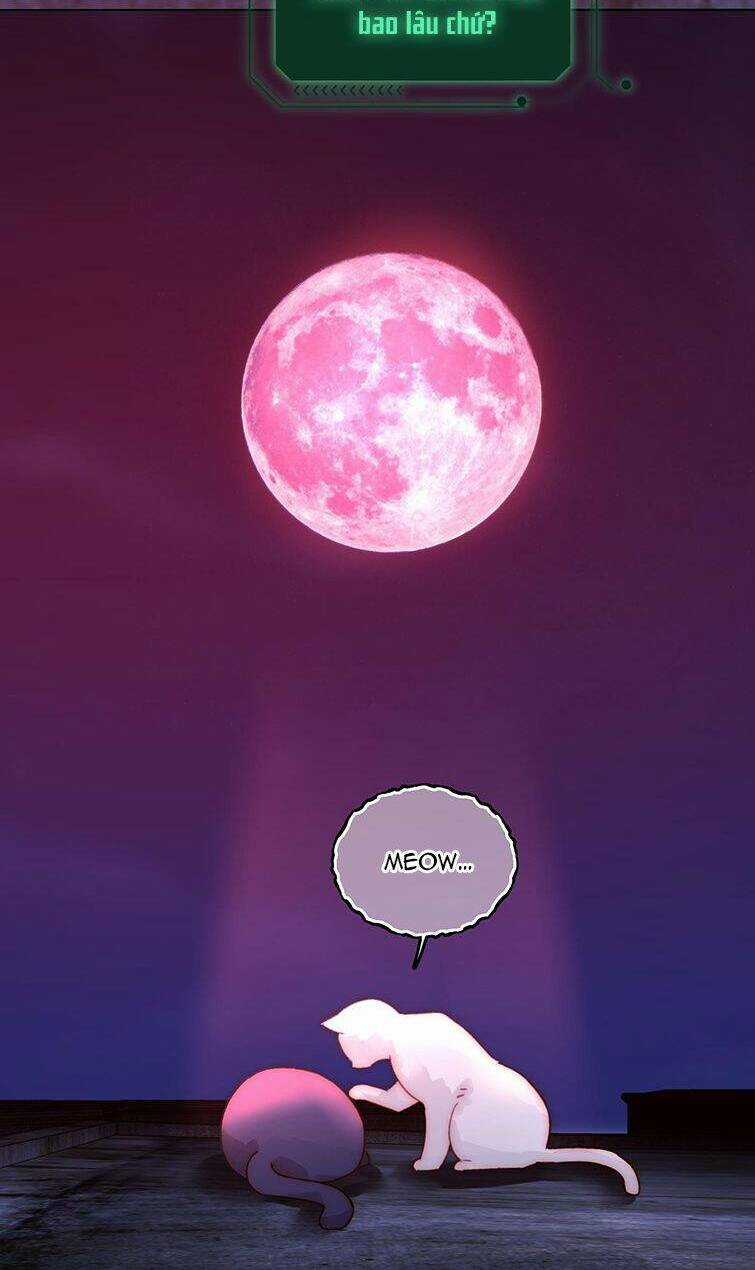 Tôi Phải Làm Một Kẻ Đại Xấu Xa Chapter 90 trang 32