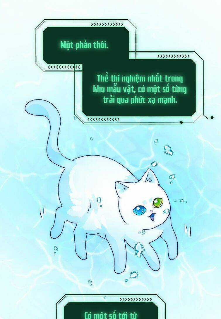 Tôi Phải Làm Một Kẻ Đại Xấu Xa Chapter 91 trang 25