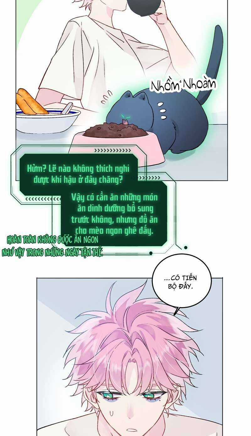 Tôi Phải Làm Một Kẻ Đại Xấu Xa Chapter 94 trang 17