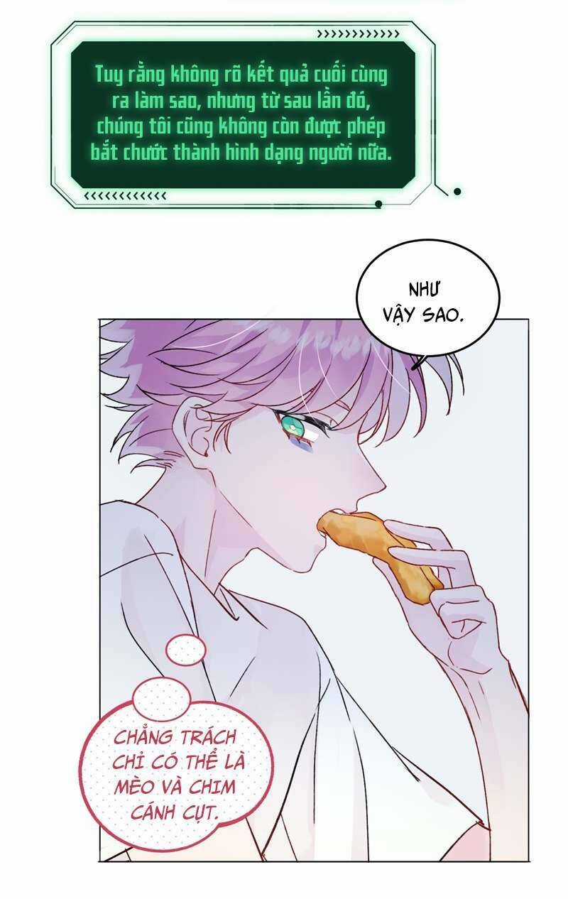 Tôi Phải Làm Một Kẻ Đại Xấu Xa Chapter 94 trang 21