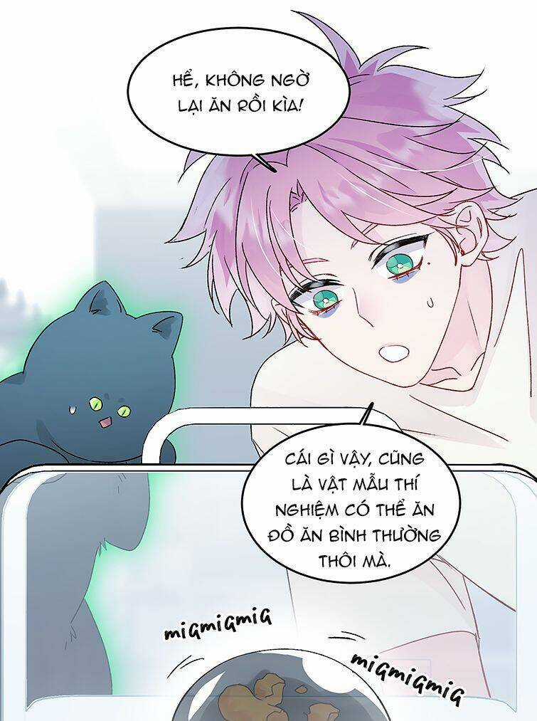 Tôi Phải Làm Một Kẻ Đại Xấu Xa Chapter 94 trang 26