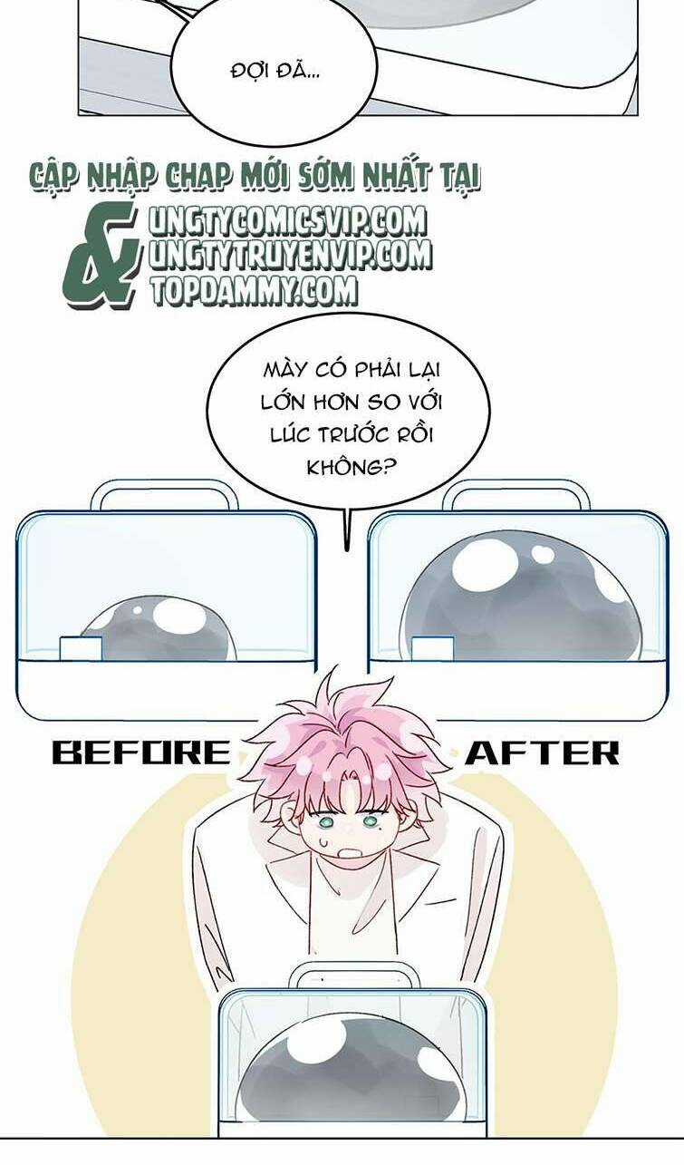 Tôi Phải Làm Một Kẻ Đại Xấu Xa Chapter 95 trang 43