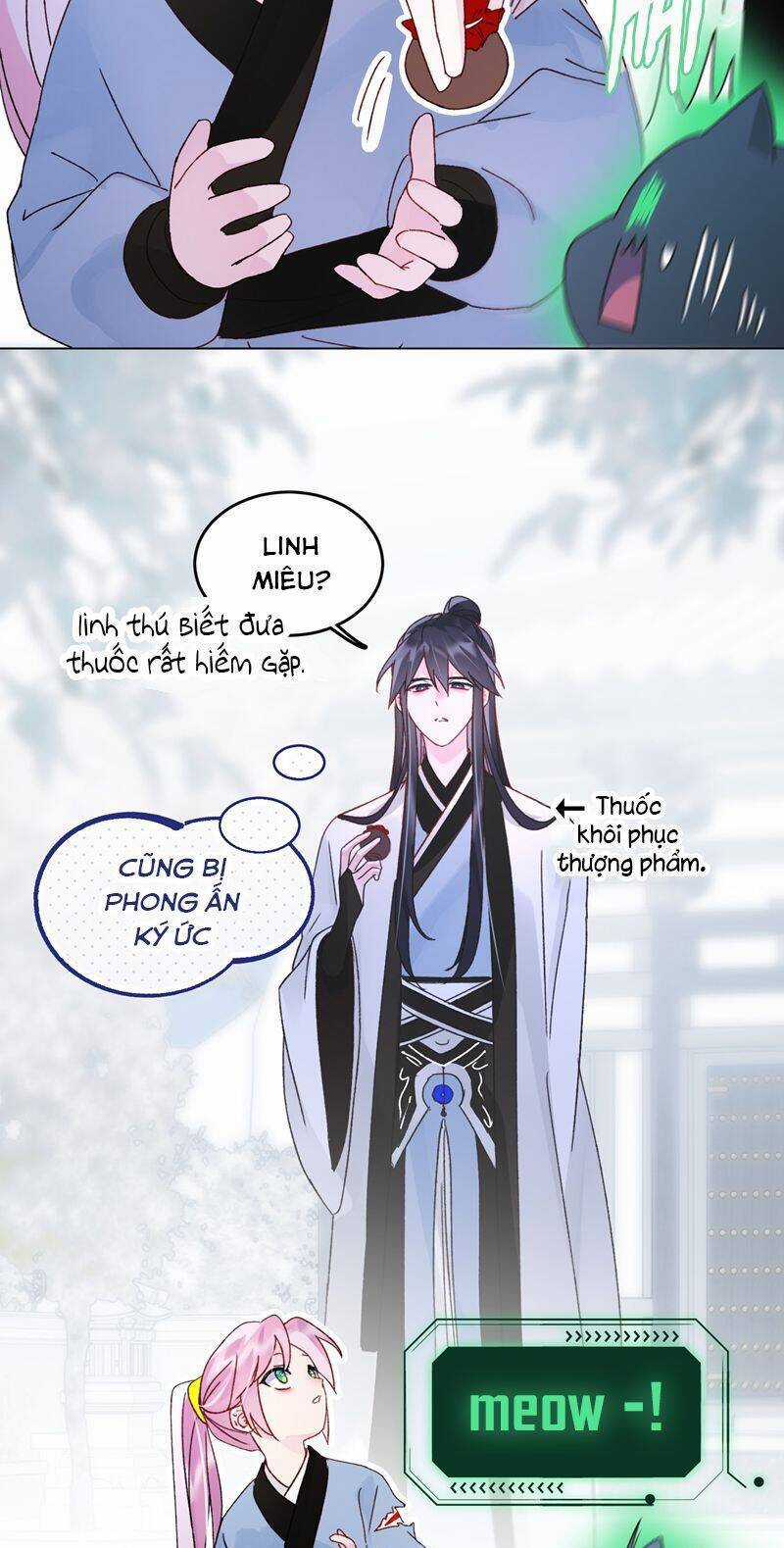 Tôi Phải Làm Một Kẻ Đại Xấu Xa Chương 113 trang 17