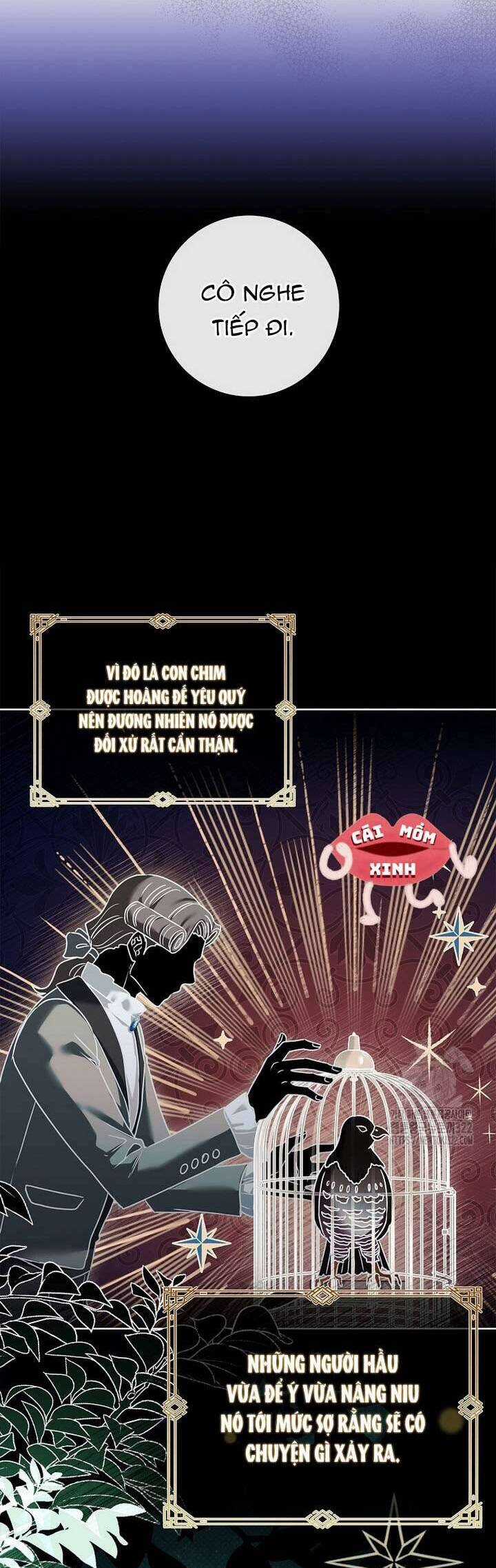 Tôi Phải Mau Chóng Kết Hôn Vì Thời Gian Có Hạn Chapter 23 trang 24