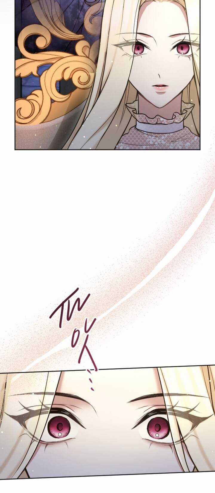 Tôi Sẽ Bị Trừ Khử Cùng Hoàng Đế Chapter 87.1 trang 11