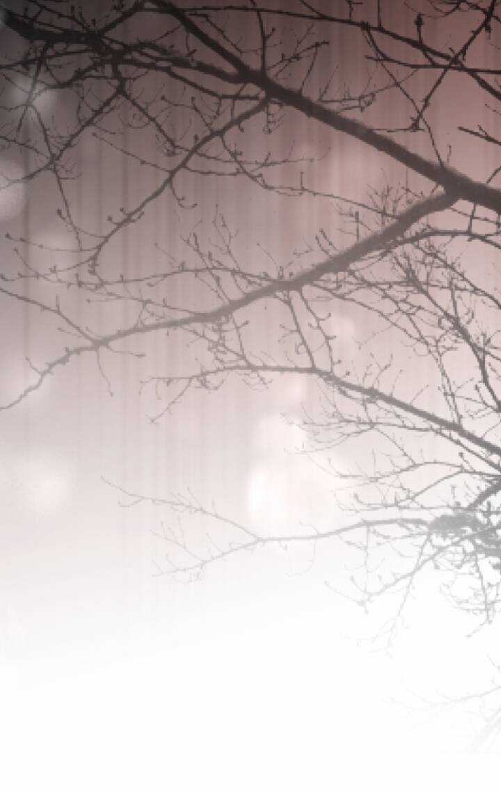 Tôi Sẽ Bị Trừ Khử Cùng Hoàng Đế Chapter 91.2 trang 46