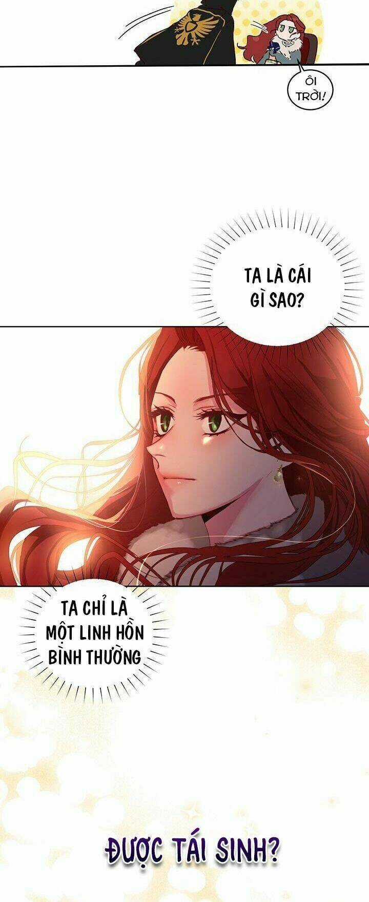 Tôi Sẽ Chỉ Sống Như Một Nhân Vật Phản Diện Chapter 1 trang 13