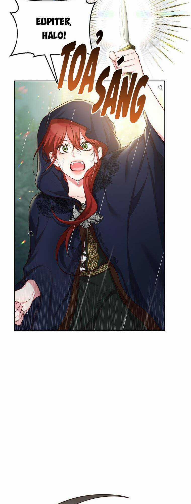 Tôi Sẽ Chỉ Sống Như Một Nhân Vật Phản Diện Chapter 45 trang 27