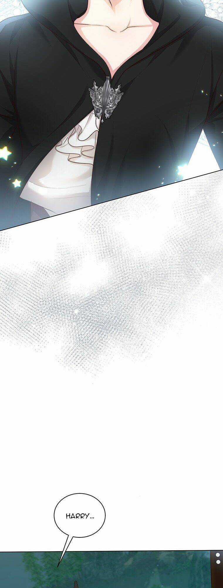 Tôi Sẽ Chỉ Sống Như Một Nhân Vật Phản Diện Chapter 46 trang 9