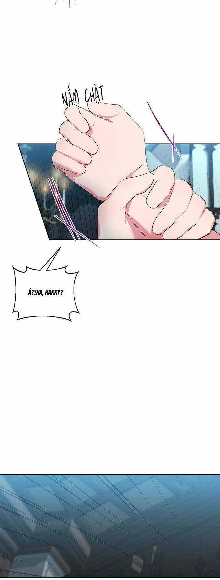 Tôi Sẽ Chỉ Sống Như Một Nhân Vật Phản Diện Chapter 48 trang 21