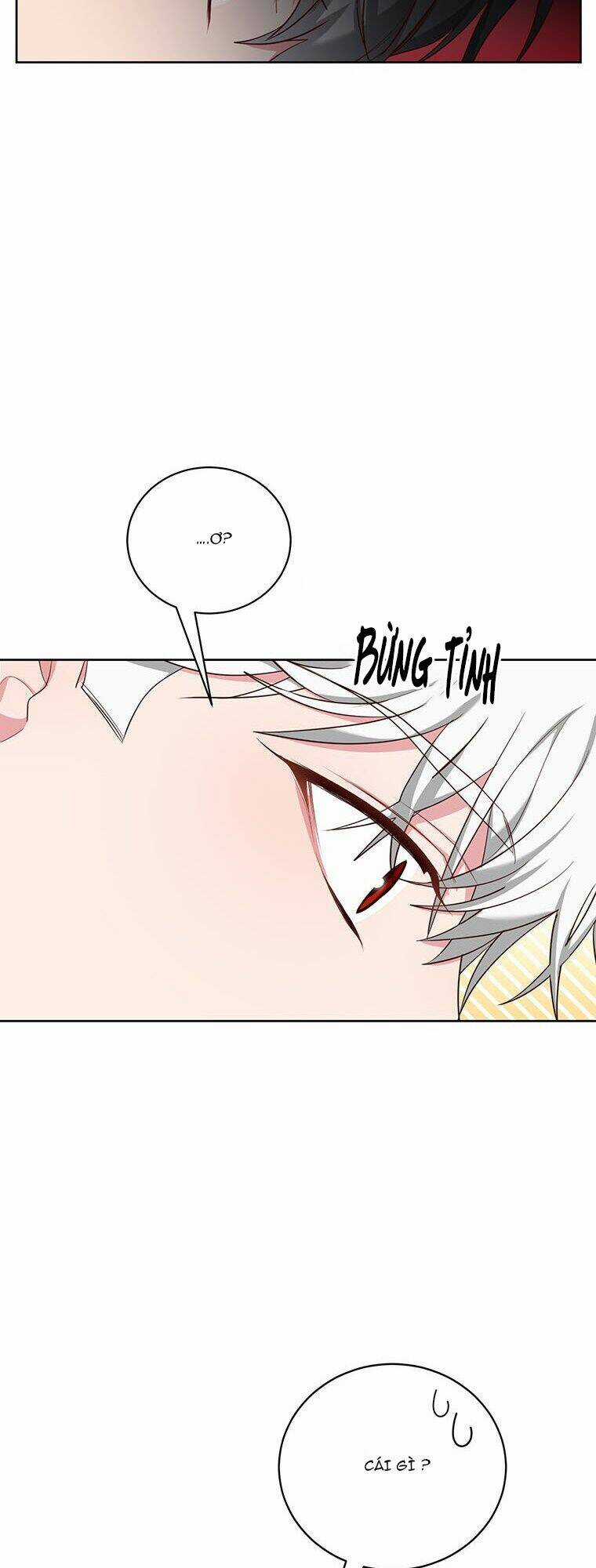 Tôi Sẽ Chỉ Sống Như Một Nhân Vật Phản Diện Chapter 48 trang 30