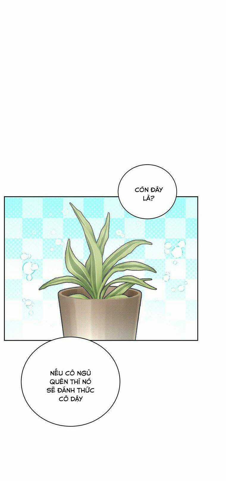 Tôi Sẽ Chỉ Sống Như Một Nhân Vật Phản Diện Chapter 52 trang 16