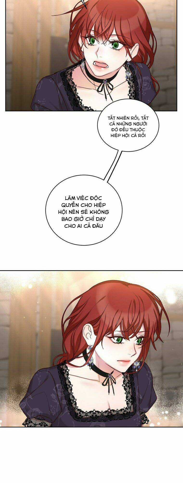 Tôi Sẽ Chỉ Sống Như Một Nhân Vật Phản Diện Chapter 52 trang 29