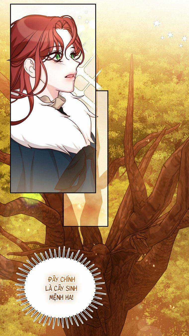 Tôi Sẽ Chỉ Sống Như Một Nhân Vật Phản Diện Chapter 64 trang 47