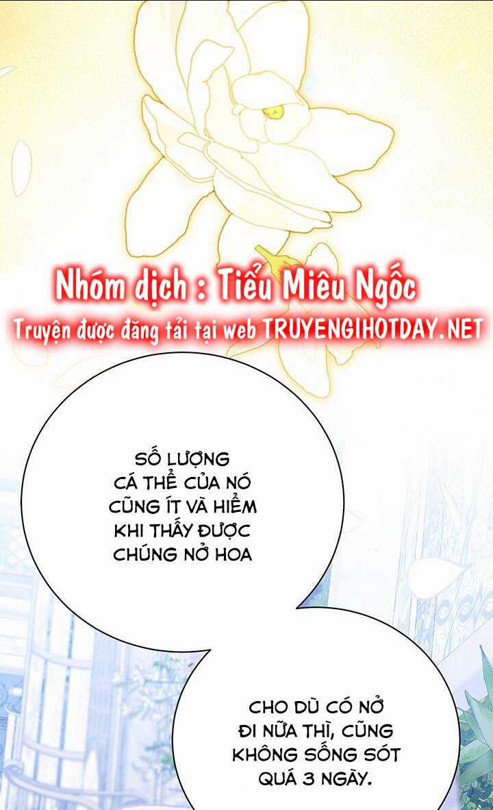 Tôi Sẽ Không Hối Tiếc Vì Anh Đâu Chapter 122 trang 46