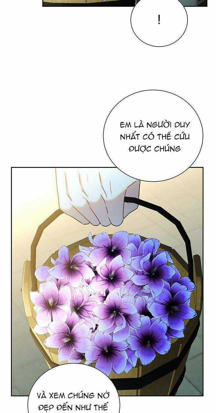 Tôi Sẽ Không Hối Tiếc Vì Anh Đâu Chapter 70 trang 82