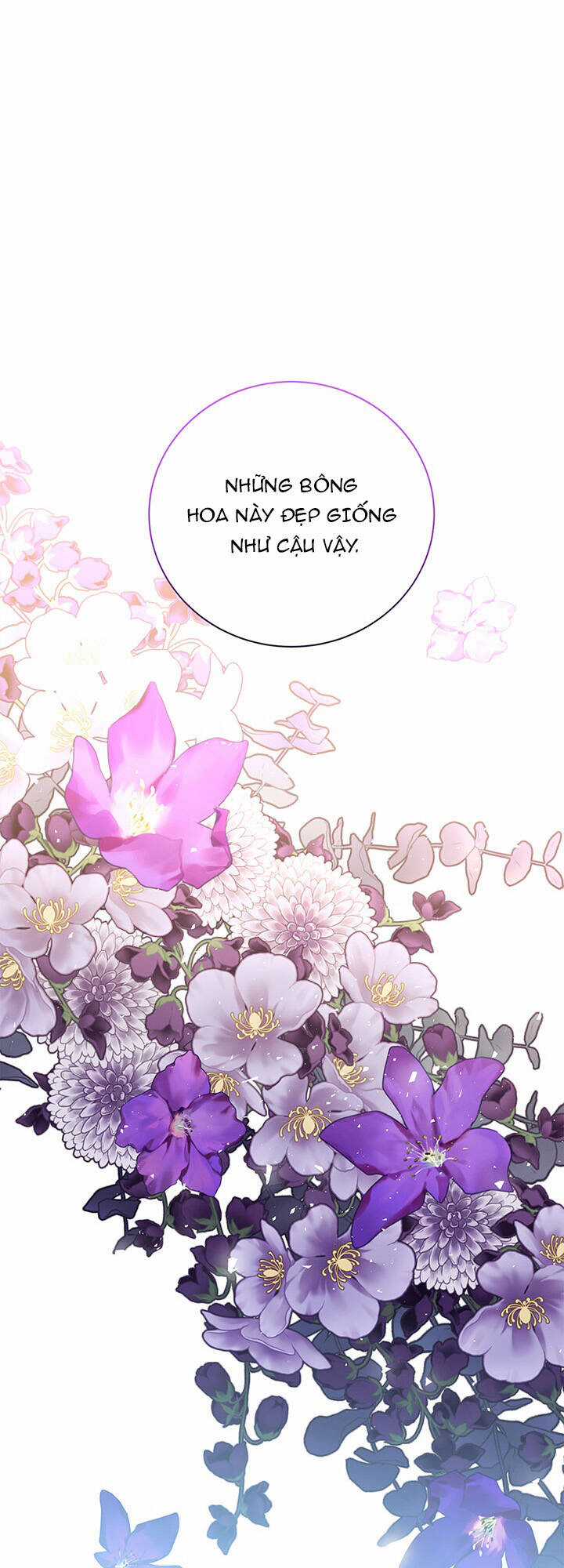 Tôi Sẽ Không Hối Tiếc Vì Anh Đâu Chapter 71 trang 0