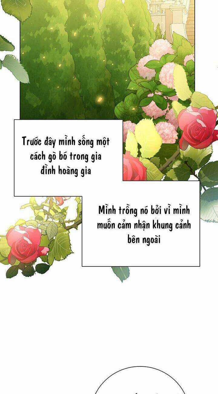 Tôi Sẽ Không Hối Tiếc Vì Anh Đâu Chapter 73 trang 30