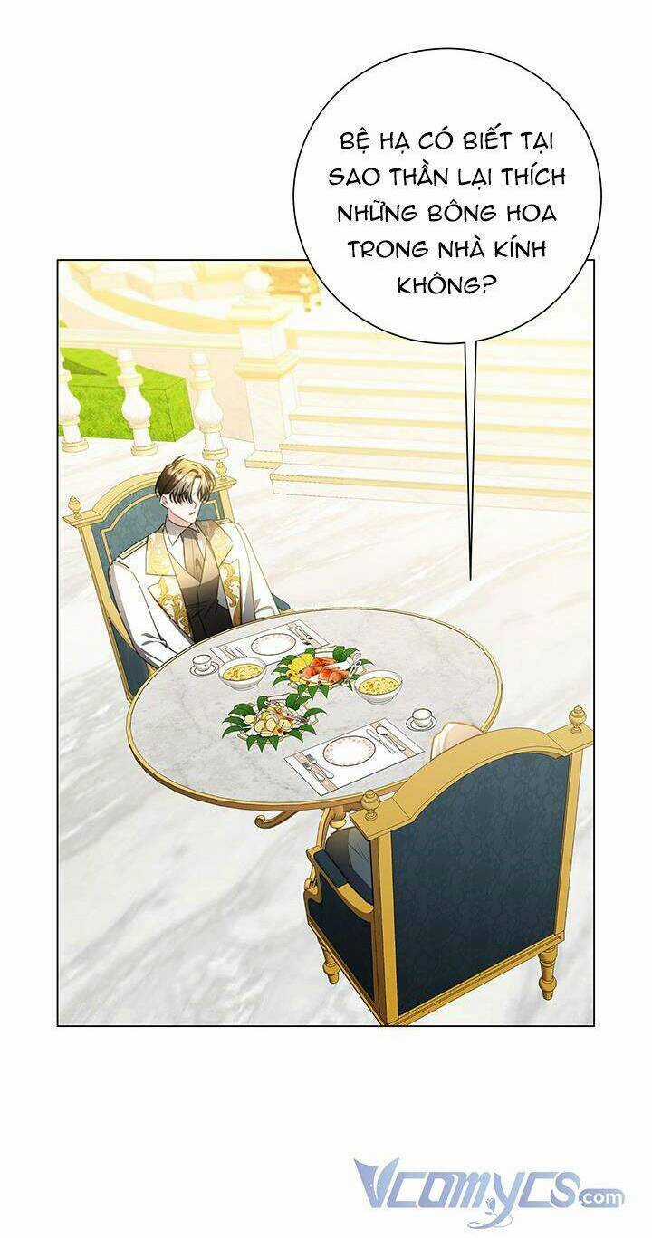 Tôi Sẽ Không Hối Tiếc Vì Anh Đâu Chapter 73 trang 56