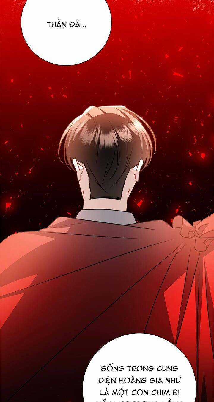 Tôi Sẽ Không Hối Tiếc Vì Anh Đâu Chapter 73 trang 67