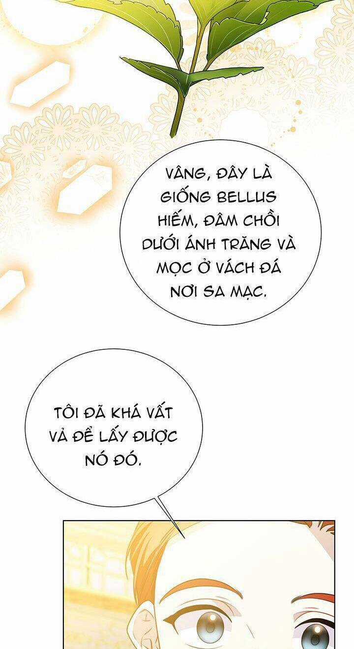 Tôi Sẽ Không Hối Tiếc Vì Anh Đâu Chapter 87 trang 37