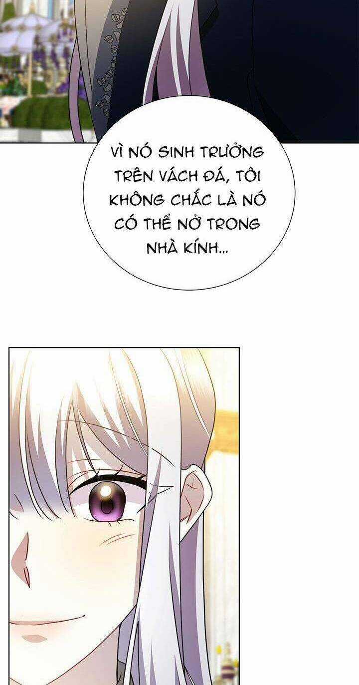 Tôi Sẽ Không Hối Tiếc Vì Anh Đâu Chapter 87 trang 44