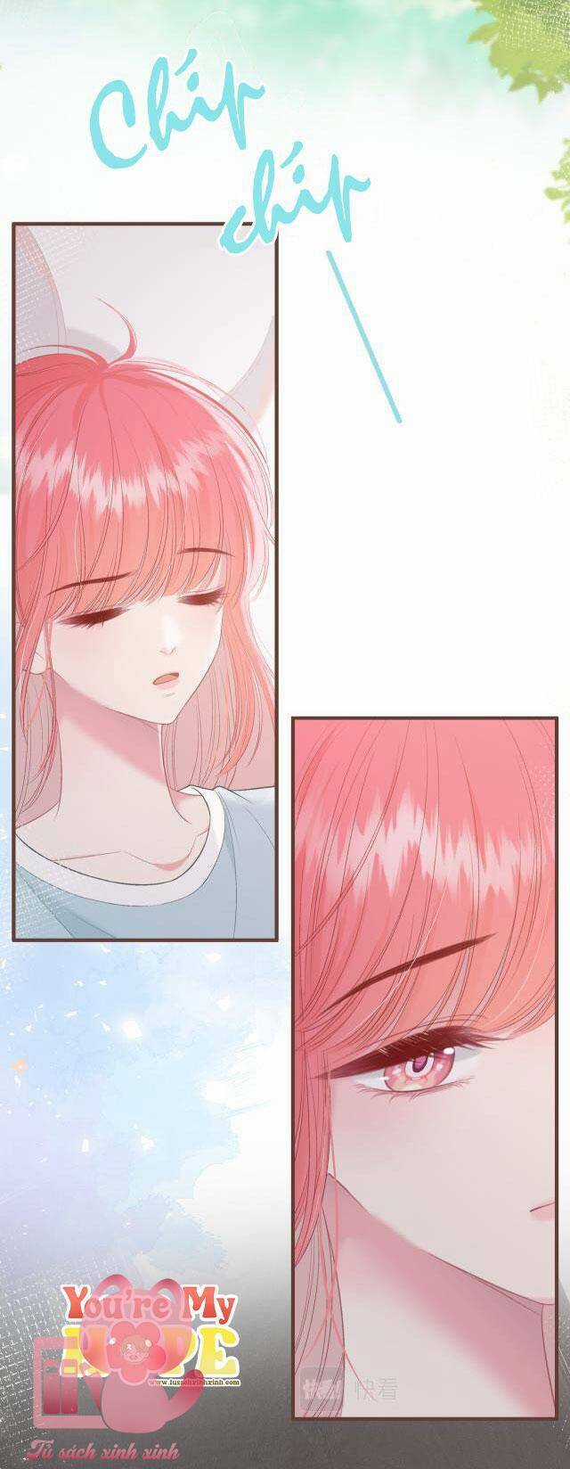 Tôi Sẽ Không Thích Cậu Đâu! Chapter 15 trang 40