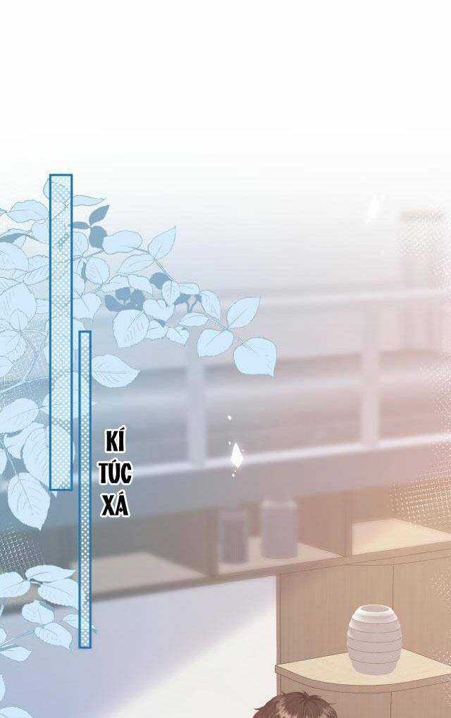 Tôi Sẽ Không Thích Cậu Đâu! Chapter 21 trang 35