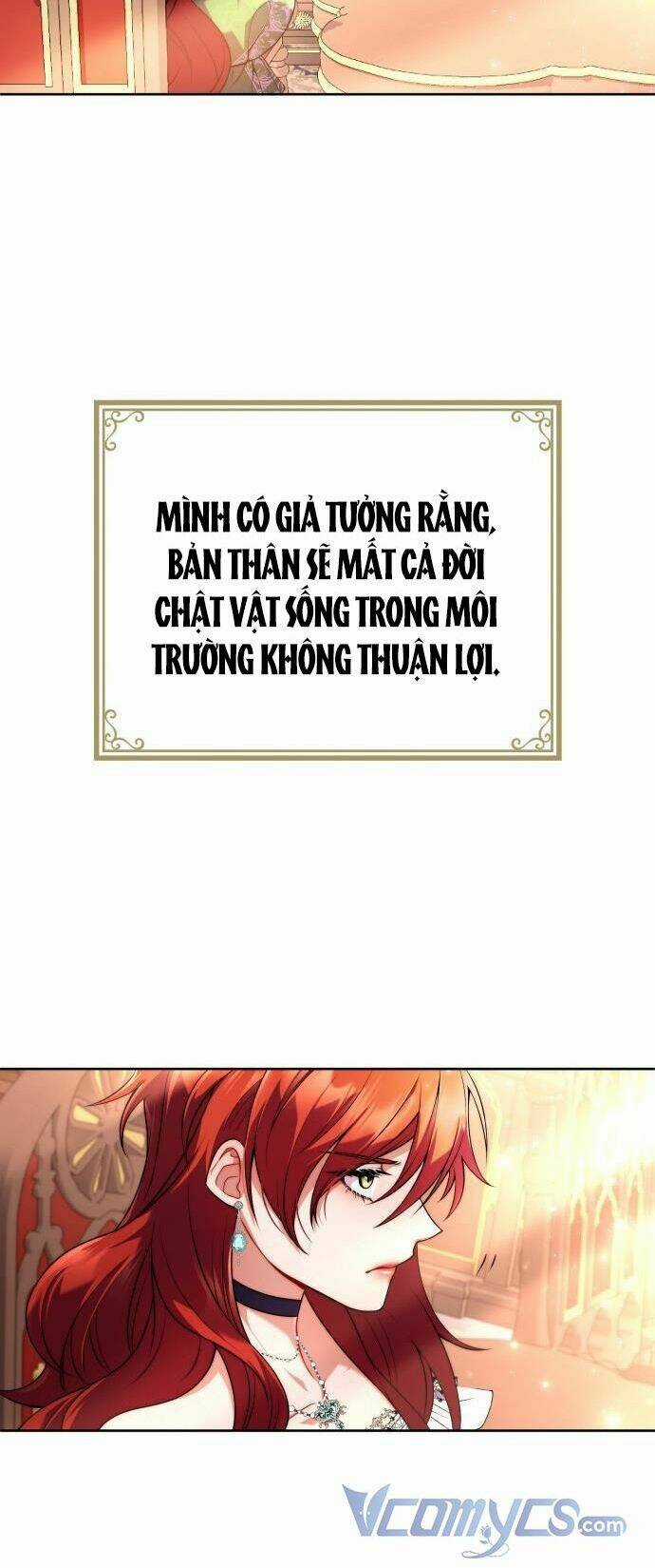 Tôi Sẽ Ly Hôn Với Người Chồng Bạo Chúa Của Mình Chapter 1 trang 65