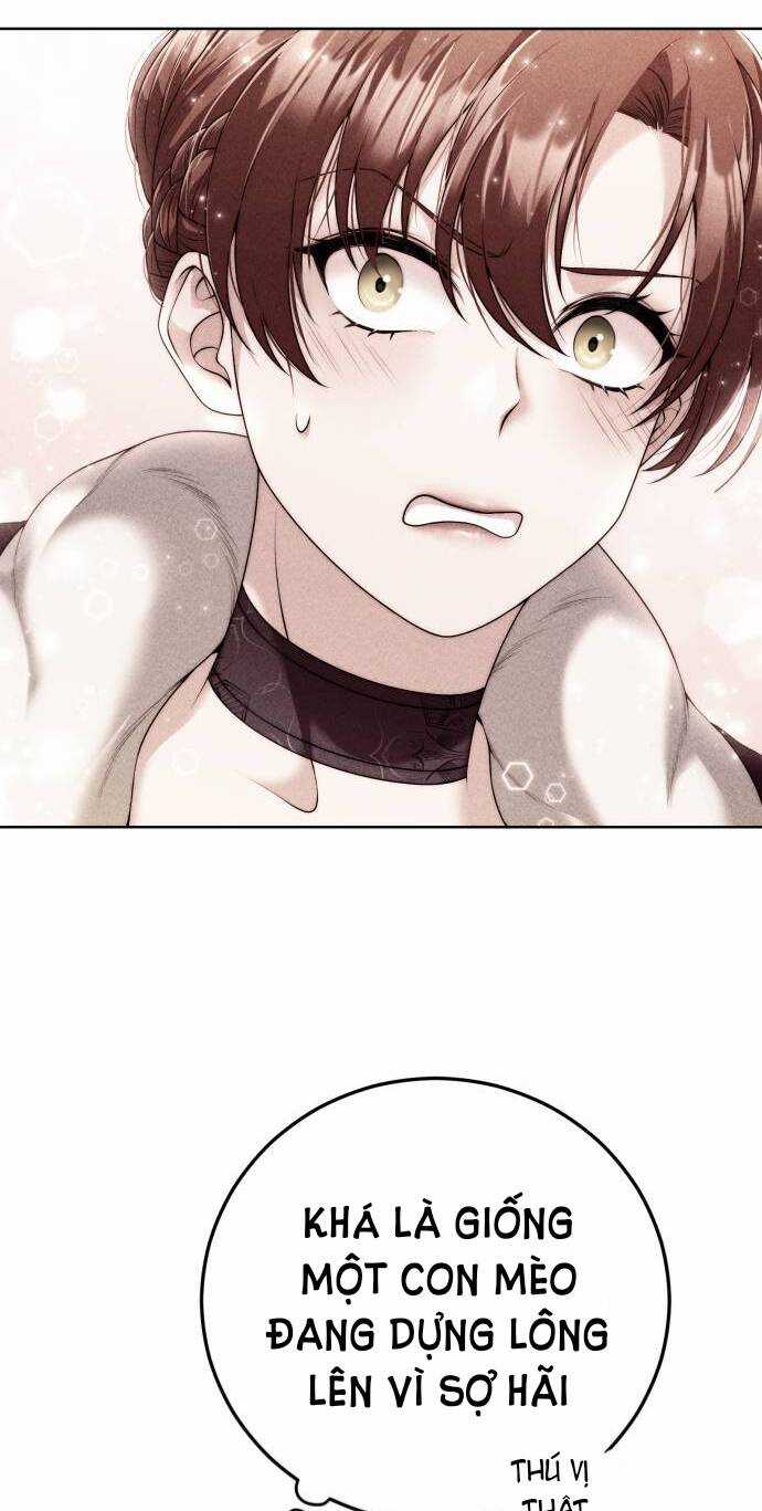 Tôi Sẽ Ly Hôn Với Người Chồng Bạo Chúa Của Mình Chapter 14 trang 10