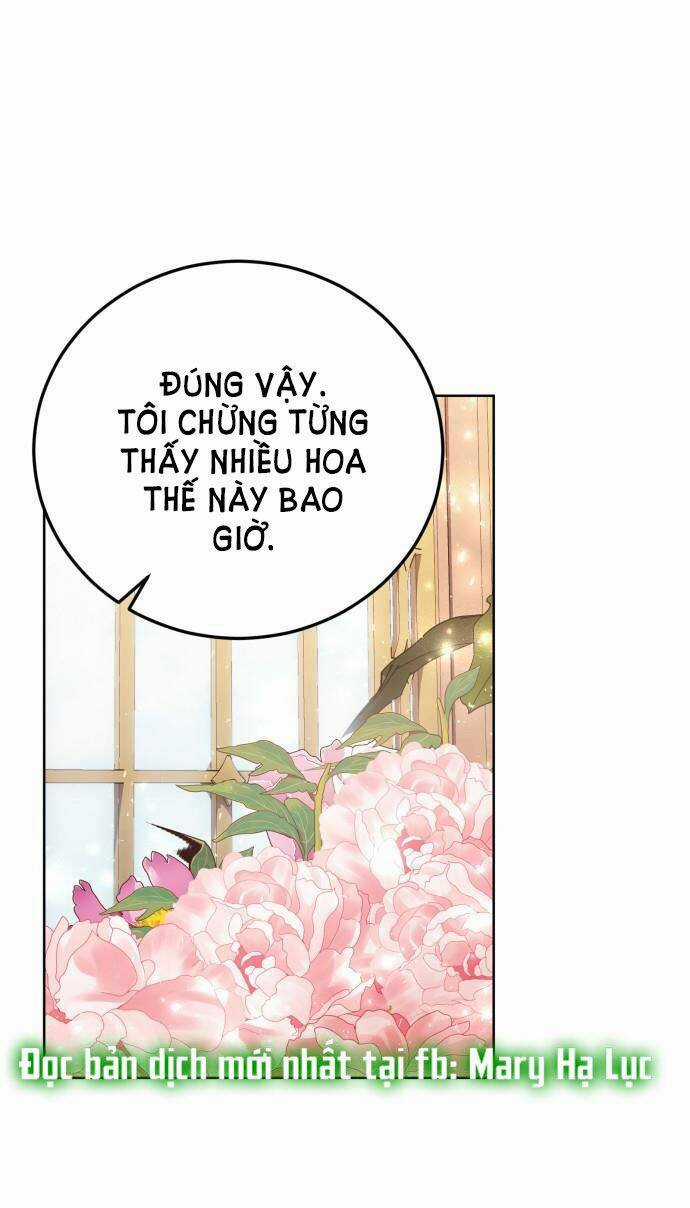 Tôi Sẽ Ly Hôn Với Người Chồng Bạo Chúa Của Mình Chapter 17.5 trang 0