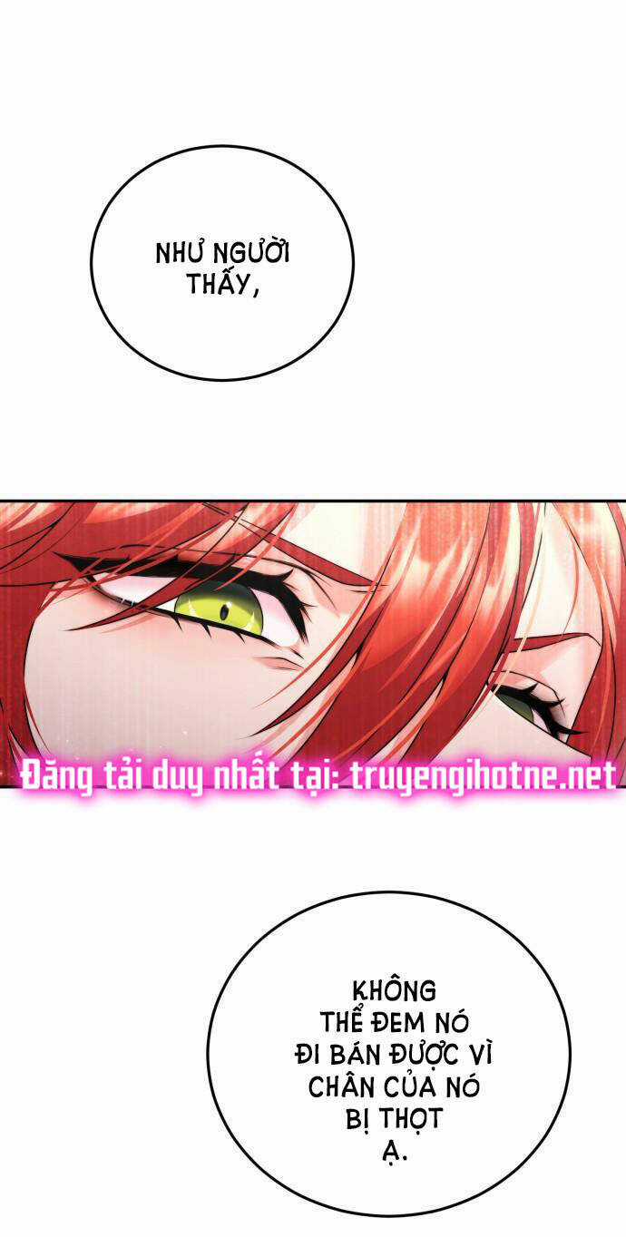 Tôi Sẽ Ly Hôn Với Người Chồng Bạo Chúa Của Mình Chapter 25.2 trang 5