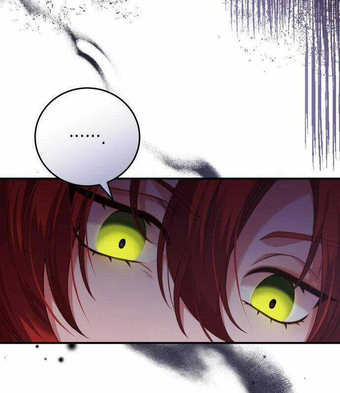 Tôi Sẽ Ly Hôn Với Người Chồng Bạo Chúa Của Mình Chapter 43.1 trang 19