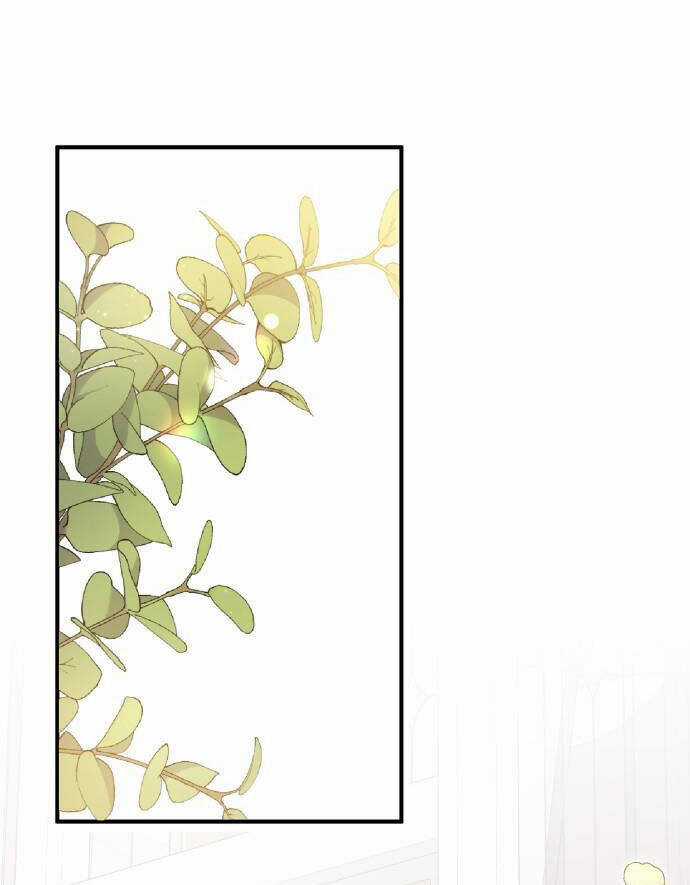 Tôi Sẽ Ly Hôn Với Người Chồng Bạo Chúa Của Mình Chapter 43.1 trang 6