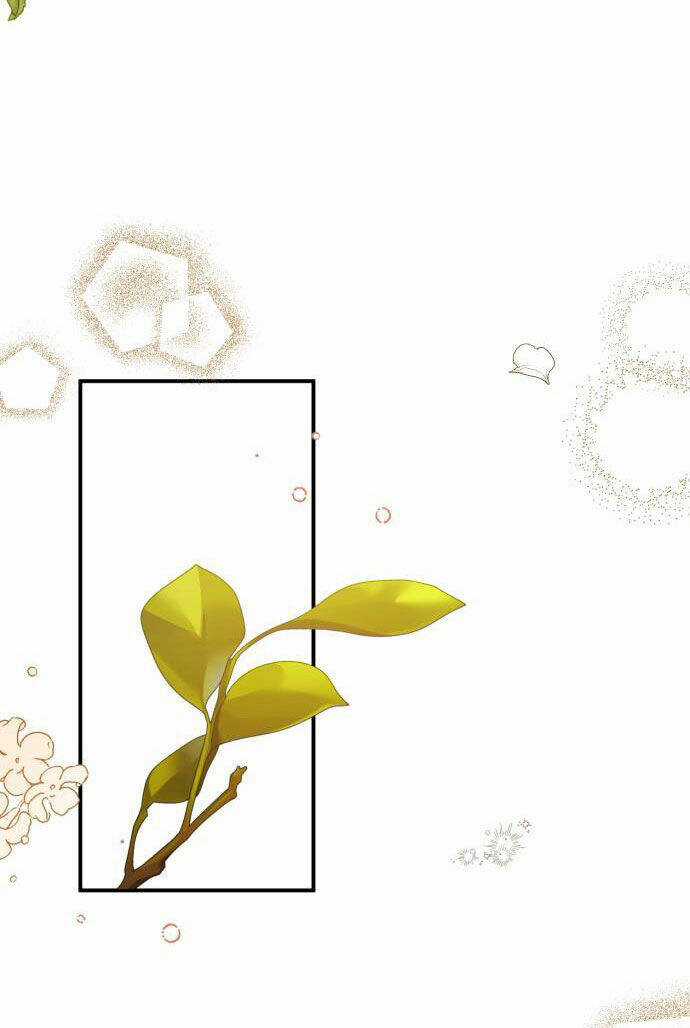 Tôi Sẽ Ly Hôn Với Người Chồng Bạo Chúa Của Mình Chapter 49.2 trang 2